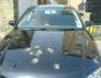 Stef's car coverd in bird poo small.JPG