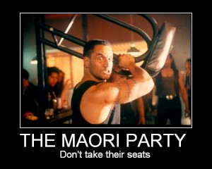 MaoriPartyDontTakeSeatsSmall.jpg