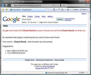 chuck norris google small.jpg